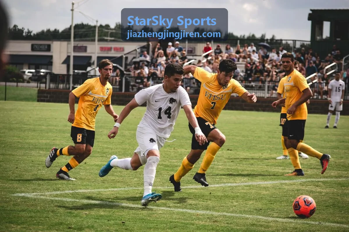 StarSky Sports 运动员与教练资源匹配