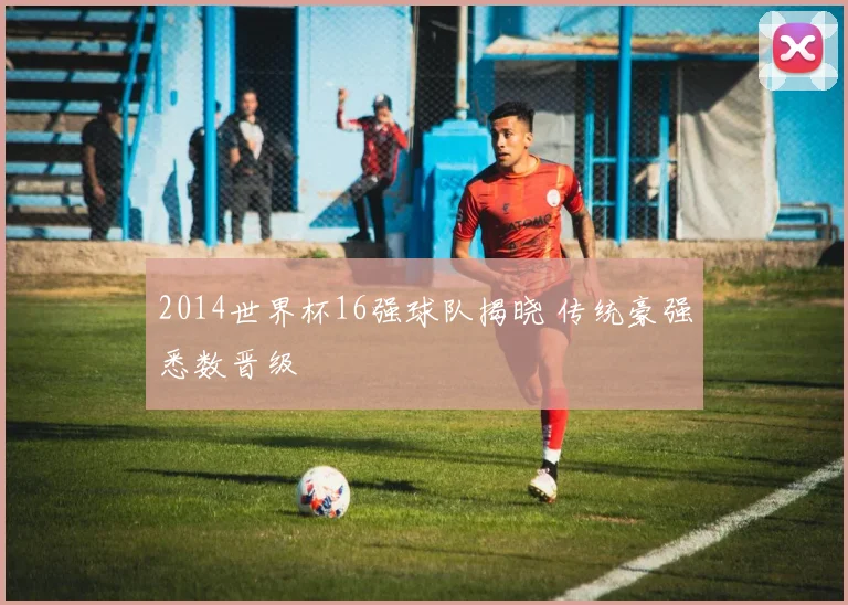 2014世界杯16强球队揭晓 传统豪强悉数晋级