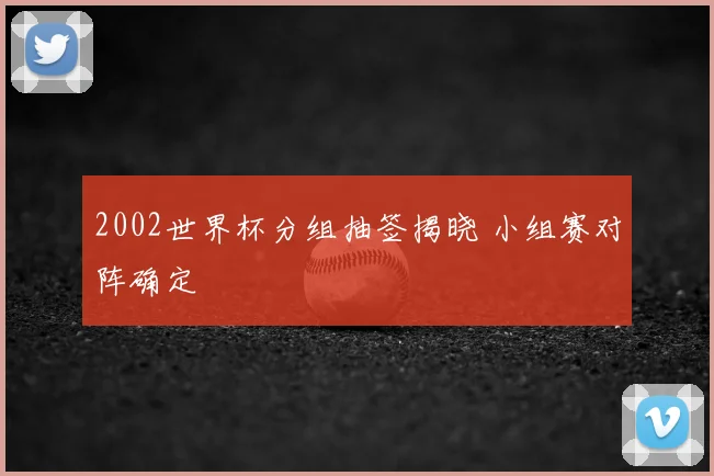 2002世界杯分组抽签揭晓 小组赛对阵确定