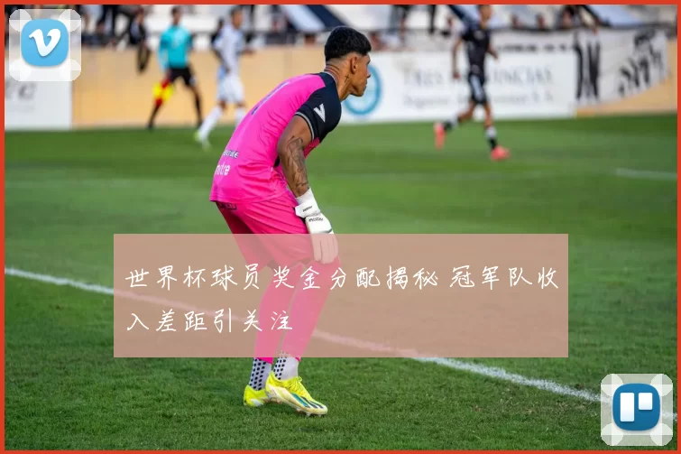 世界杯球员奖金分配揭秘 冠军队收入差距引关注