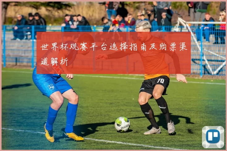 世界杯观赛平台选择指南及购票渠道解析
